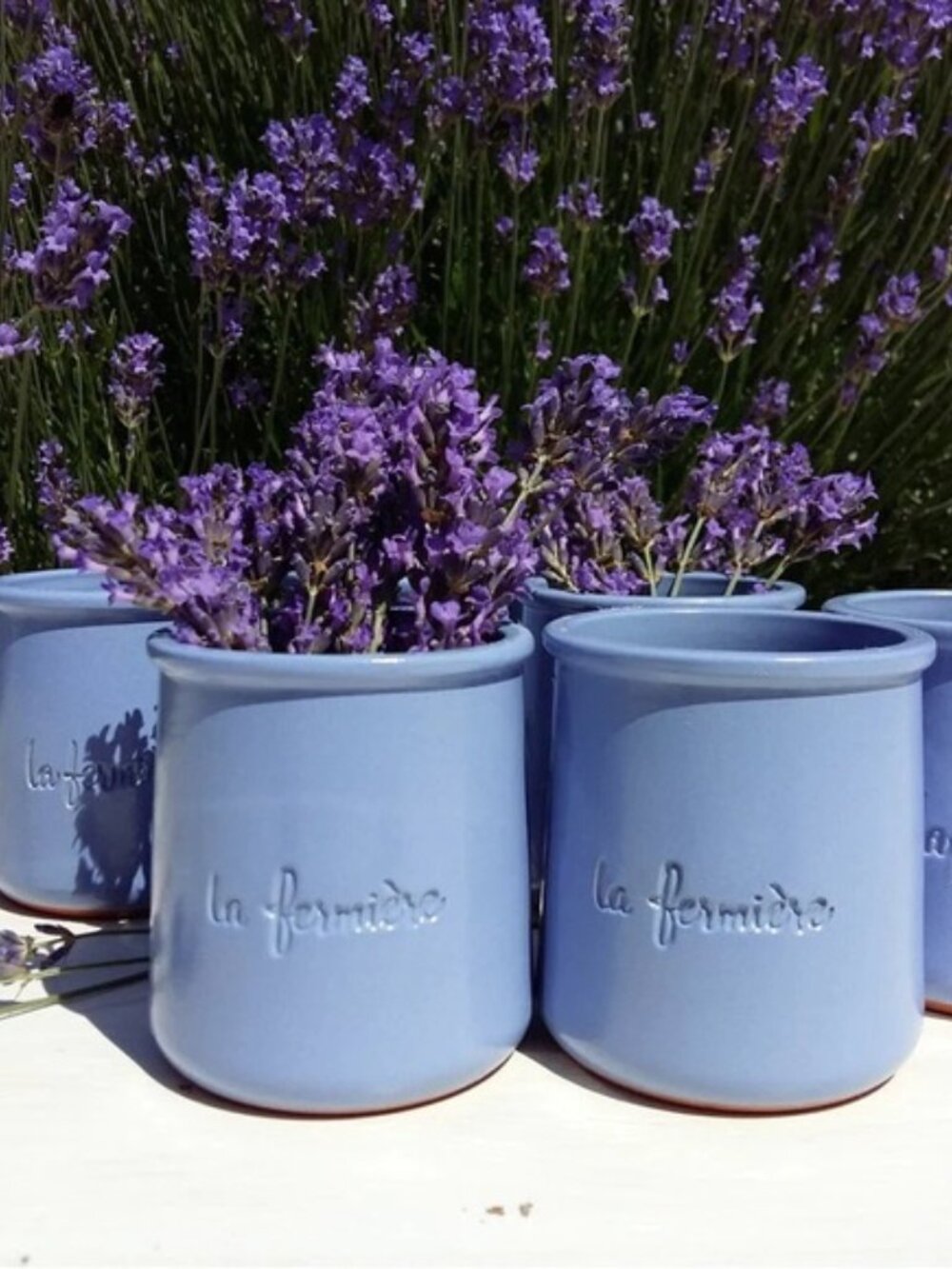 La Fermière French Glazed Terracotta Mini Pots - set of 10